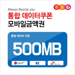 통합 데이터쿠폰 500MB : 부흥상품권