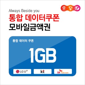 통합 데이터쿠폰 1GB : 부흥상품권