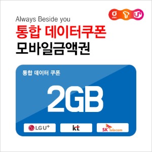 통합 데이터쿠폰 2GB : 부흥상품권